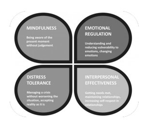 DBT core skills diagram