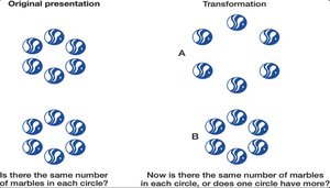 A Conservation Problem