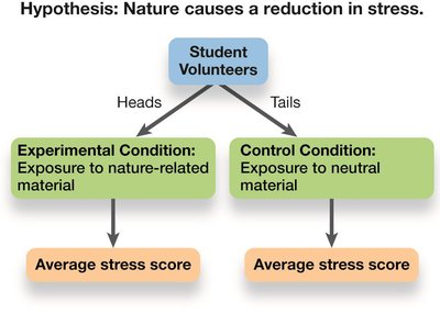 Diagram of experimental and control conditions in a hypothesis test