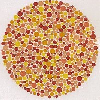 Ishihara plate for color blindness testing