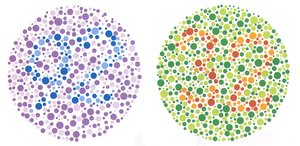 Ishihara plates for color blindness testing
