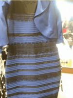 Color constancy illustrated by the ambiguous color of a dress