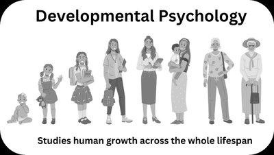 Illustration of human growth across the lifespan