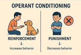 Operant Conditioning: Reinforcement and Punishment