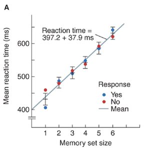 Graph of reaction time as a function of memory set size