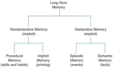 Method of loci mnemonic device table