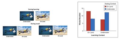 Context-dependent memory: learning and recall on land vs. underwater