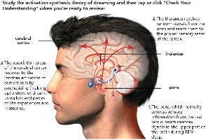 Diagram of the brain and activation-synthesis theory of dreaming