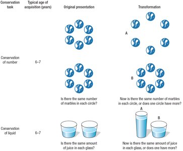 Piaget's conservation of number and liquid tasks