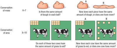 Piaget's conservation of mass and area tasks