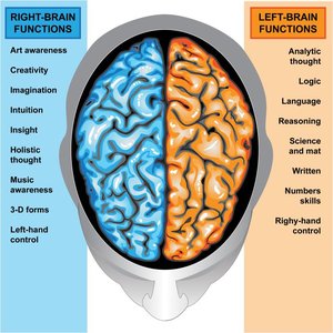 Lateralization of brain functions