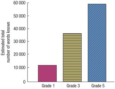 Bar graph showing vocabulary growth from Grade 1 to Grade 5