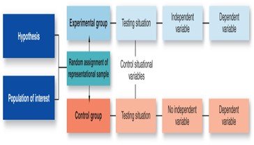 Flowchart of experimental design with groups and variables