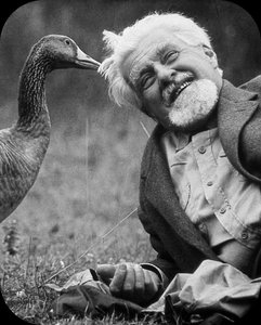 Konrad Lorenz with gosling, imprinting research