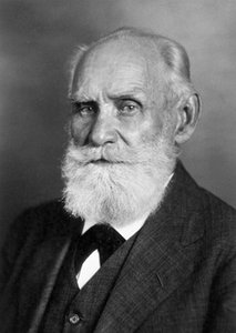 Portrait of Ivan Pavlov