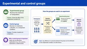 Experimental and control groups