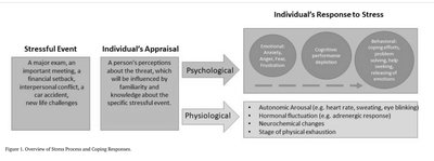 Diagram of stress appraisal and response