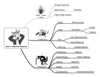 Diagram of stress consequences