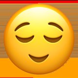Emotion-focused coping strategies