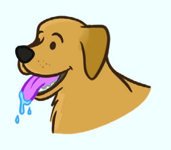 Dog salivating as conditioned response