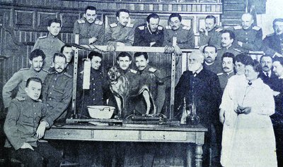 Dog before conditioning