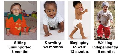 Sequence of motor development milestones: sitting, crawling, beginning to walk, walking independently