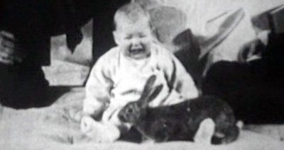 Little Albert experiment with a rabbit