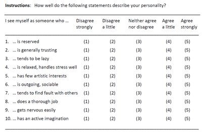 Sample Big Five questionnaire