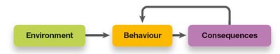 Behaviourist model: environment, behaviour, consequences