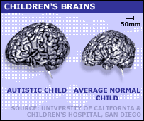 Language characteristics of children with high functioning ASD