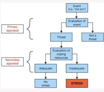 Cognitive appraisal flowchart