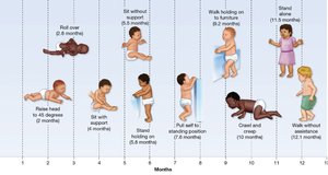Parenting styles and outcomes