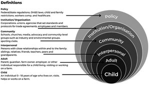 Definitions of ecological model levels