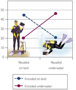 Graph showing context-dependent learning with divers
