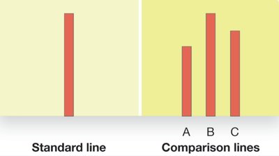 Asch's line comparison experiment