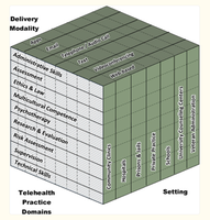 Telehealth practice domains, delivery modalities, and settings cube