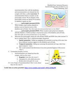 Synaptic transmission and neurotransmitter release