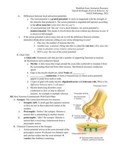 Synapse and glial cell diagram
