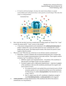 Sodium-potassium pump and membrane potential