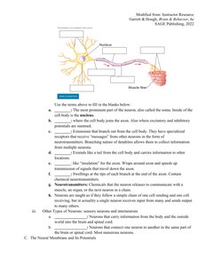 Diagram of a neuron with labeled parts