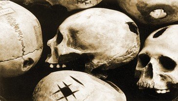 Ancient skulls, representing early scientific and philosophical inquiry