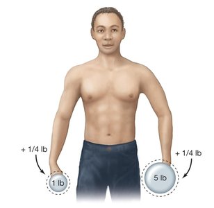 Illustration of weight perception experiment