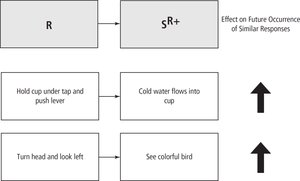 Diagram of two-term contingency: response followed by positive stimulus