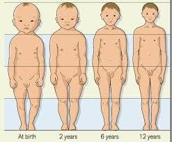 Physical development from birth to childhood