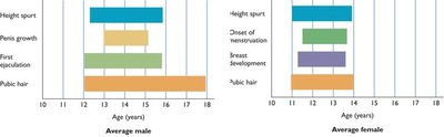 Graph of puberty milestones for males and females