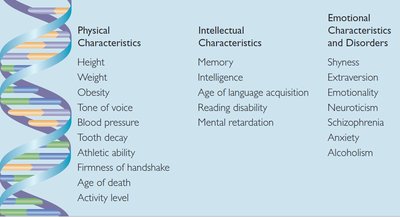 Table of characteristics influenced by genetic factors