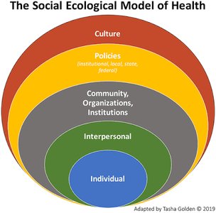 The Social Ecological Model of Health