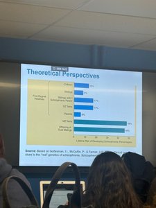 Bar graph of theoretical perspectives on schizophrenia