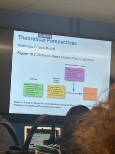 Diagram of the diathesis-stress model of schizophrenia
