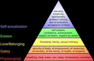 Maslow's hierarchy of needs